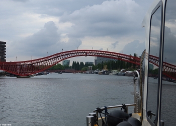Sjaak  137